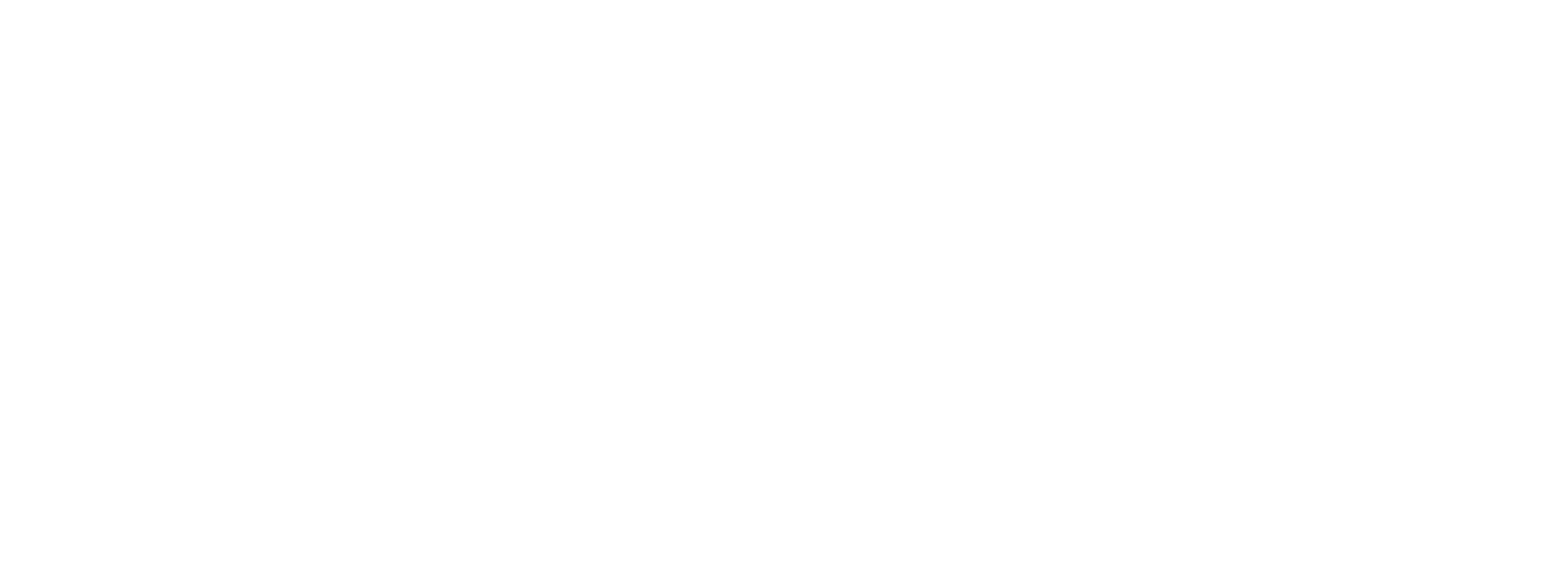 L/intruse